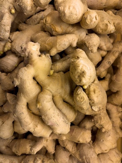 Ginger export — INTRASER