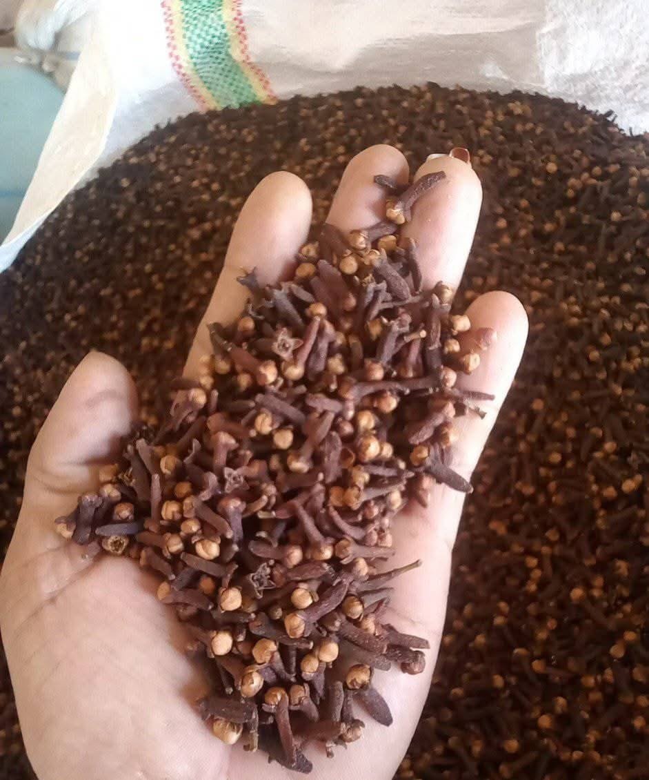 Cloves — INTRASER export