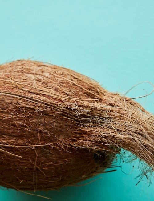 Coconut Products — INTRASER export