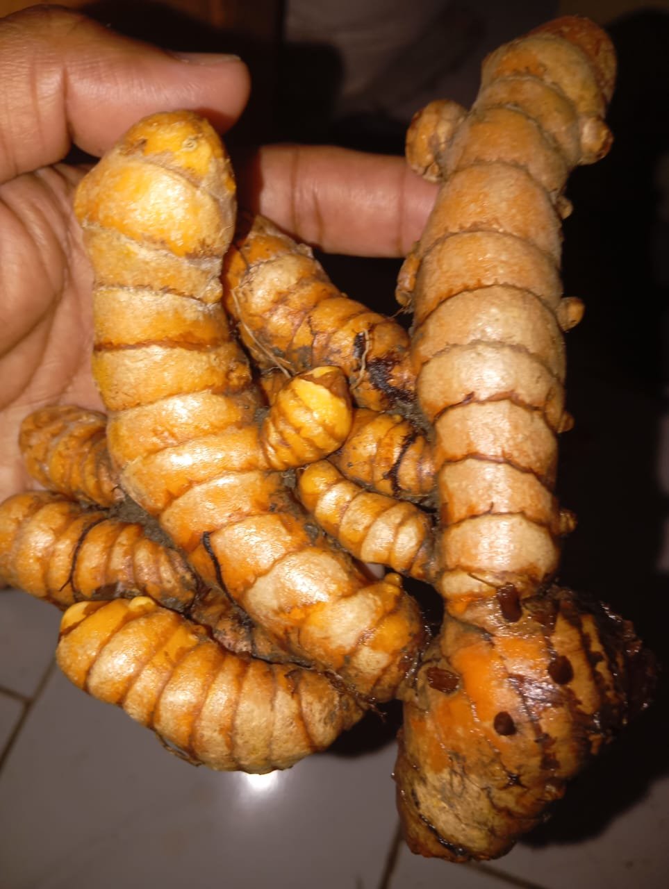 Turmeric — INTRASER export